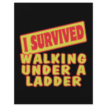 I SURVIVED WALKING UNDER A LADDER flyers