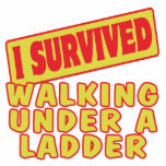 I SURVIVED WALKING UNDER A LADDER photo sculptures