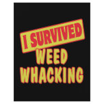 I SURVIVED WEED WHACKING flyers
