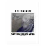 I Survived Winter Storm Nemo (NASA Outer Space) Postcard