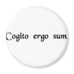 I think, therefore I am. magnets