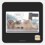 I think there's a spy among us square sticker