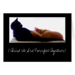 I Think We Are Purrfect Together! cards