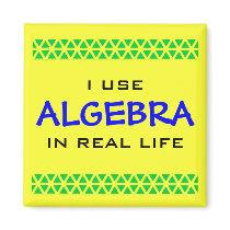 I USE ALGEBRA IN REAL LIFE