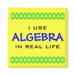 I USE ALGEBRA IN REAL LIFE magnets