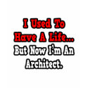 I Used to Have a Life...Architect t-shirts