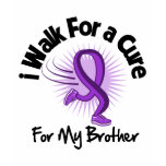 I Walk For My Brother - Purple Ribbon t-shirts