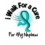 I Walk For My Nephew - Teal Ribbon t-shirts