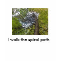 I walk the spiral path. t-shirts