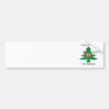 I want a horse for christmas bumper sticker
