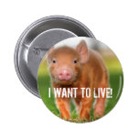 I WANT TO LIVE! PINS