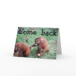 I Want you Back on Valentine's Day Card