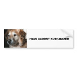 I WAS ALMOST EUTHANIZED bumper stickers