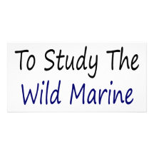 I Was Born To Study The Wild Marine Life Photo Greeting Card
