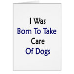 I Was Born To Take Care Of Dogs Greeting Cards