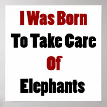 I Was Born To Take Care Of Elephants Poster