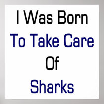 I Was Born To Take Care Of Sharks Posters