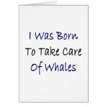 I Was Born To Take Care Of Whales cards