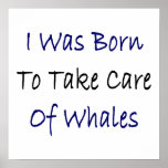 I Was Born To Take Care Of Whales posters