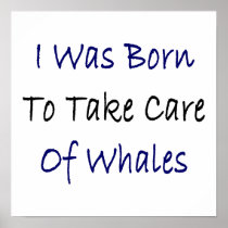 I Was Born To Take Care Of Whales Poster