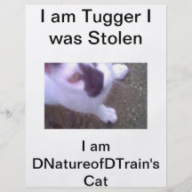 I was stolen, Tugger Full Color Flyer