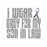 I Wear Grey For My SON-IN-LAW 16 Post Card