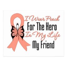I Wear Peach For The Hero in My Life...My Friend Post Cards