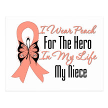 I Wear Peach For The Hero in My Life...My Niece Post Cards