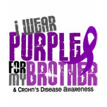 I Wear Purple For My Brother 6 Crohn’s Disease t-shirts