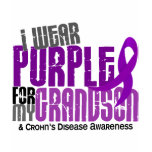 I Wear Purple For My Grandson 6 Crohn’s Disease t-shirts