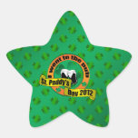 I went to the pub Saint paddy's day 2012 Star Sticker