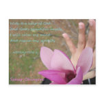 ... I will calm my mind and regain my serenity Post Card