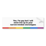 I will never live up to your stereotypes bumper stickers