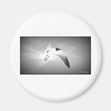 I will Rise Above Fridge Magnets