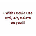 I Wish I Could Use Ctrl, Alt, Deleteon you!!!! t-shirts