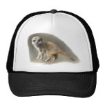 I wont my mum trucker hats