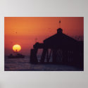 IB Pier posters