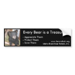 IBBR Bumper Sticker - Bear Cub bumper stickers