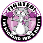 IBD Fighter Cat photo sculptures