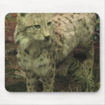 Iberian Lynx Mouse Pad