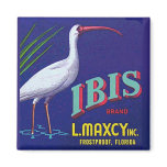 IBIS Magnet
