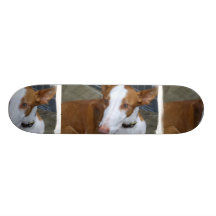 Ibizan Hound Skateboard