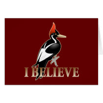 IBWO: I Believe