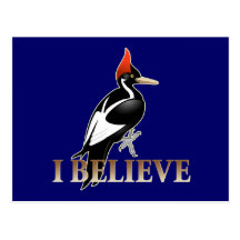 IBWO: I Believe Postcards
