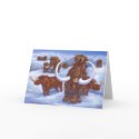 Ice Age cards