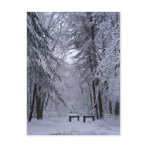 Ice Cathedral ~ postcard