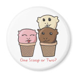 Ice Cream Scoops magnets
