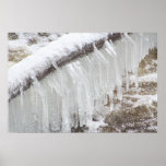 Ice Cycle Magic posters