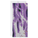 Ice Flow rack cards