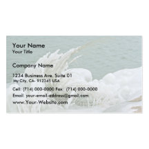 Ice Formations Business Cards